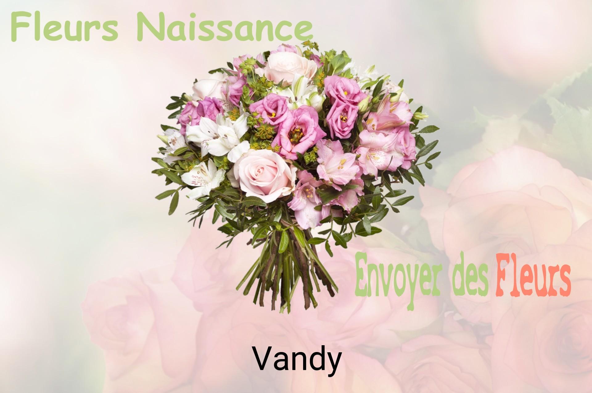 Bouquet de fleurs de naissance livré à Vandy